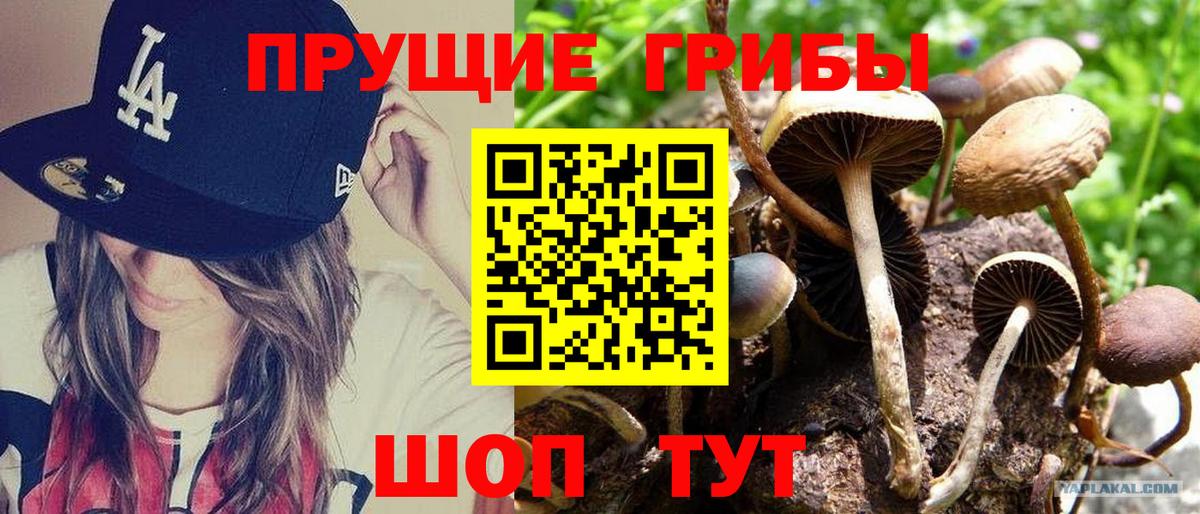 Галлюциногенные грибы GOLDEN TEACHER  Вход с VPN  Ульяновск 